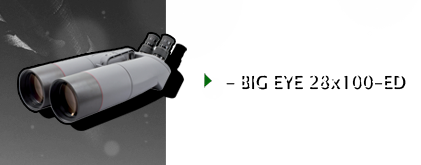 big-eye